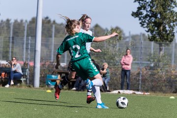 Bild 77 - wBJ FSG Kaltenkirchen - MSG Siebenbaeumen-Krummesse : Ergebnis: 2:5